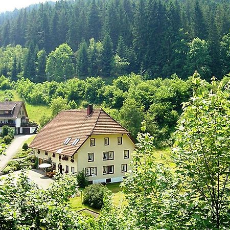 Country Style Flat With Garden Apartment Triberg im Schwarzwald Bagian luar foto