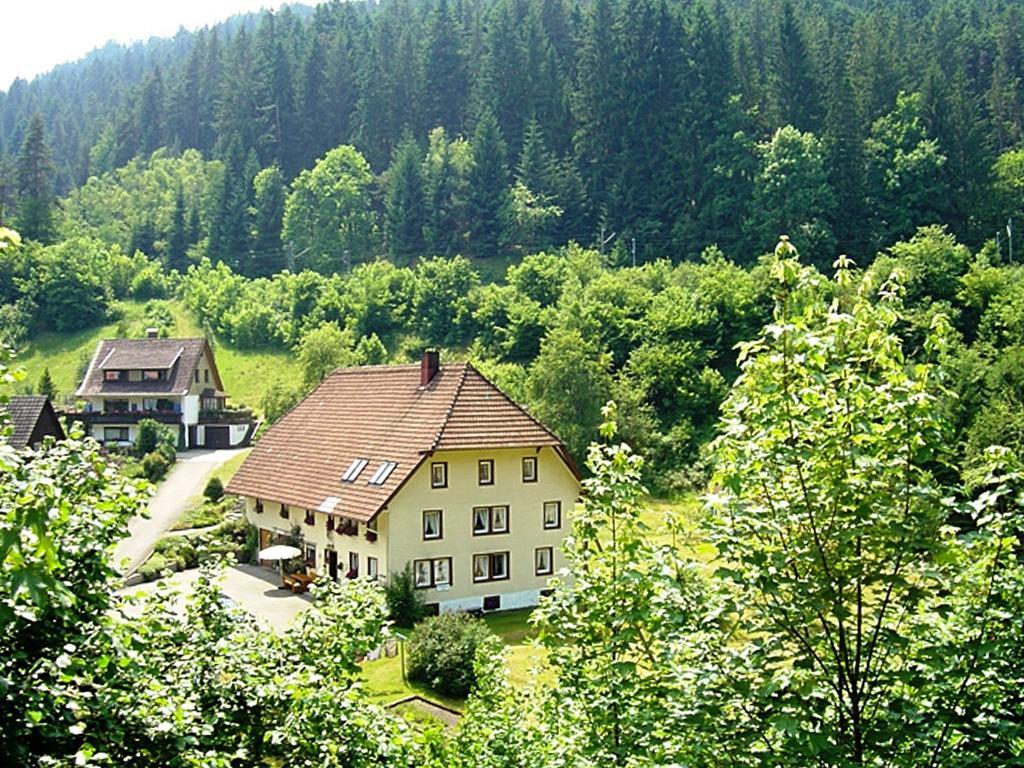 Country Style Flat With Garden Apartment Triberg im Schwarzwald Bagian luar foto