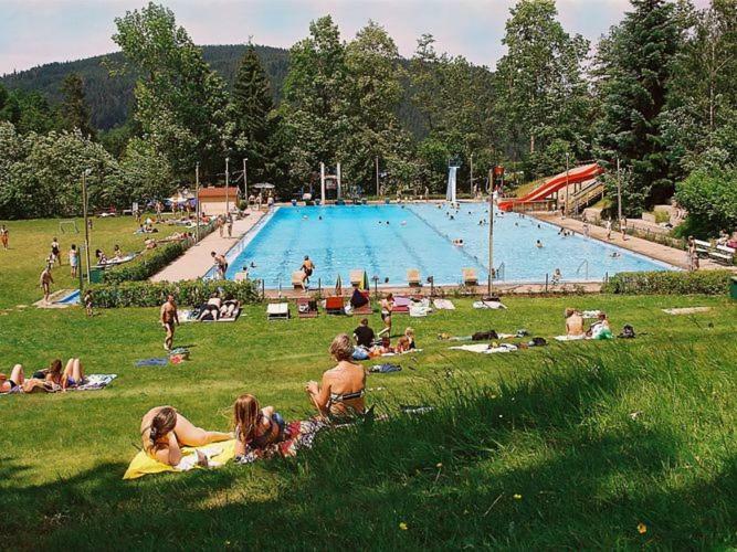 Country Style Flat With Garden Apartment Triberg im Schwarzwald Bagian luar foto