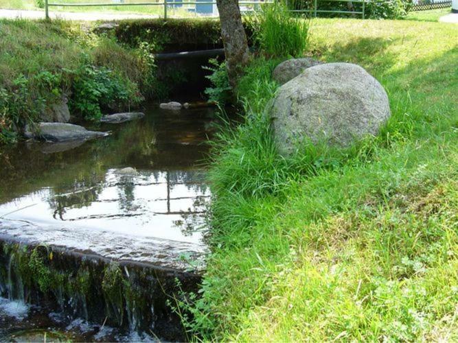 Country Style Flat With Garden Apartment Triberg im Schwarzwald Bagian luar foto